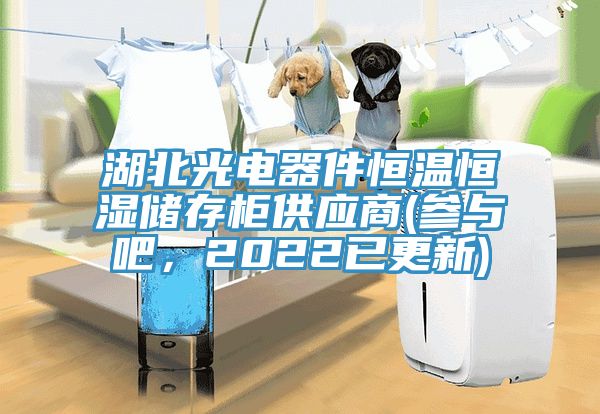 湖北光電器件恒溫恒濕儲(chǔ)存柜供應(yīng)商(參與吧，2022已更新)