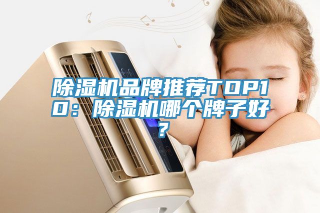 除濕機品牌推薦TOP10：除濕機哪個牌子好？