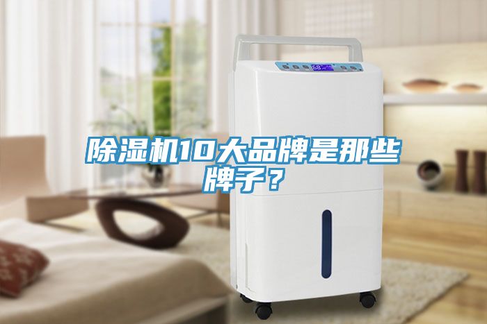 除濕機10大品牌是那些牌子？