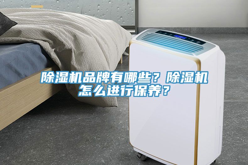 除濕機品牌有哪些？除濕機怎么進行保養？