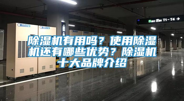 除濕機有用嗎？使用除濕機還有哪些優(yōu)勢？除濕機十大品牌介紹