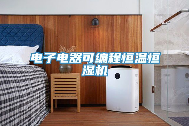 電子電器可編程恒溫恒濕機