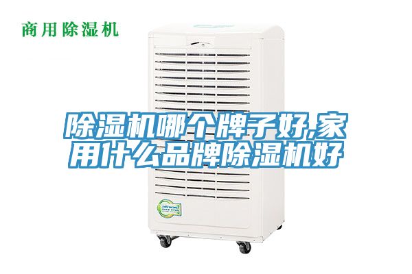 除濕機哪個牌子好,家用什么品牌除濕機好