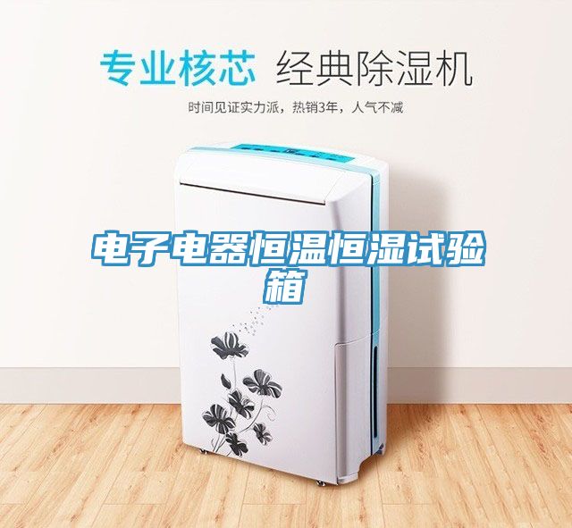 電子電器恒溫恒濕試驗(yàn)箱