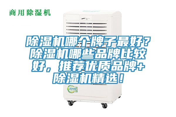 除濕機哪個牌子最好？除濕機哪些品牌比較好，推薦優質品牌+除濕機精選！