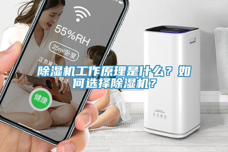 除濕機工作原理是什么？如何選擇除濕機？